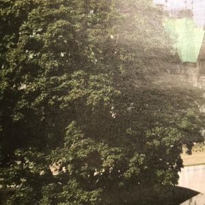 Meet your Posher, Rita